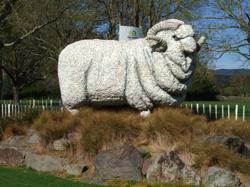 One day tours in, Rotorua, NZ