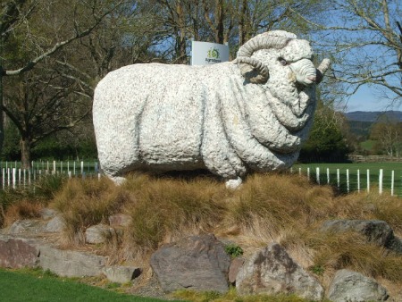 Agrodome sheep country, Rotorua, NZ