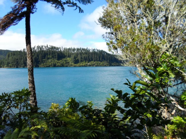 The Blue Lake (Tikitapu), Rotorua, NZ