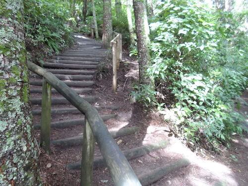 Steps Blue Lake to Green Lake carpark