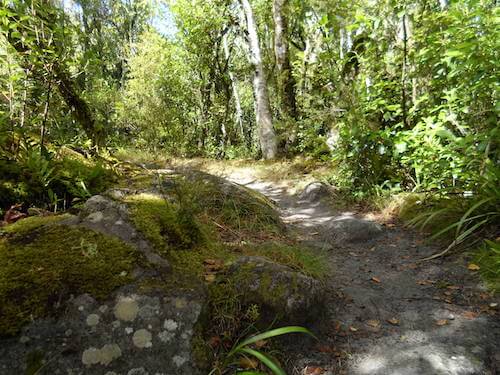 Blue Lake trail section