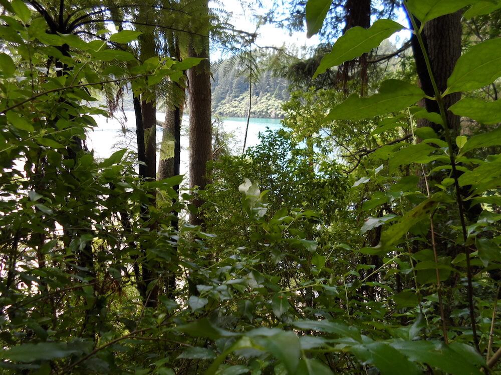 View of Blue Lake, Rotorua, New Zealand