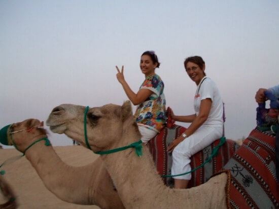 Camel riding in the UAE