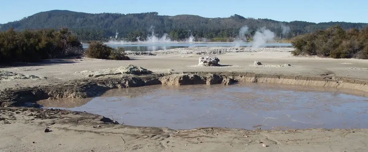 camerons pool 1200x495