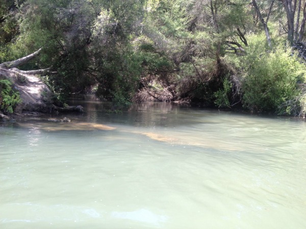 View of the Hot ’n’ Cold Streams, a nice place for a soak any time of the year. Hot ’n’ Cold Streams, NZ