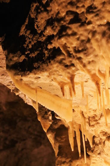 © CaveWorld Waitomo Footwhistle Cave stalactites at Waitomo, NZ