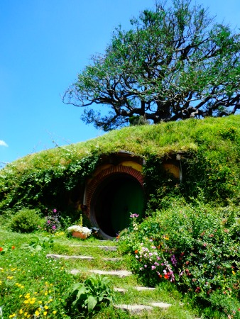 Bilbo & Frodo's hobbit hole with the fibreglass oak tree above, Hobbiton, NZ