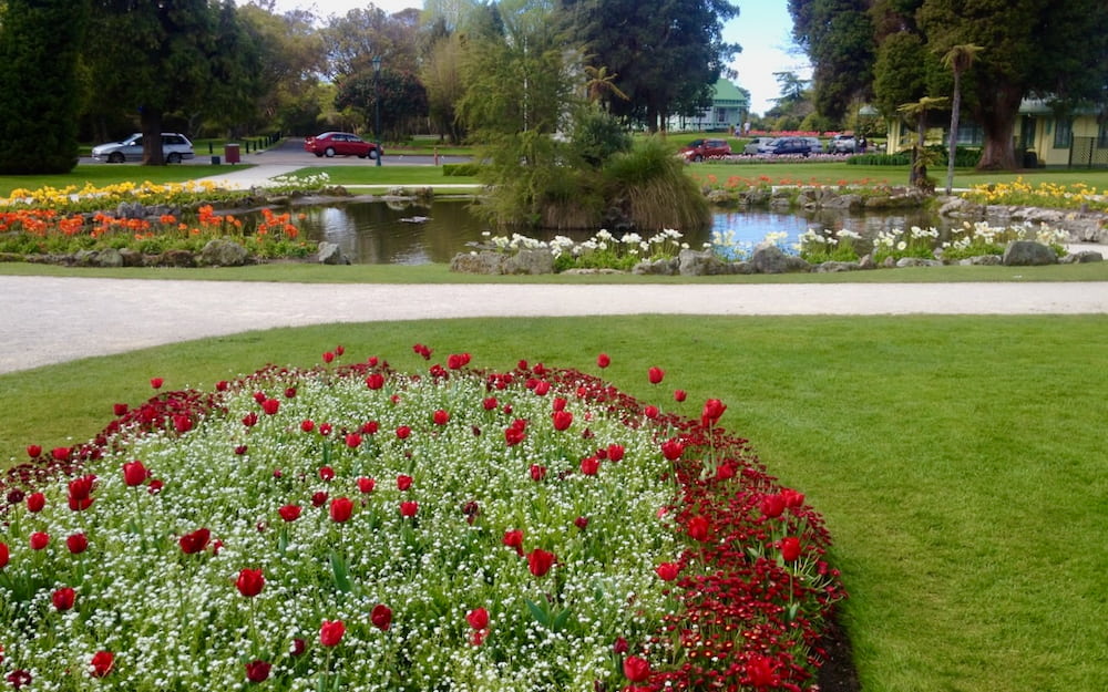 Flowers often fill the gardens at Government Gardens making for lots of photo opportunites. Grounds of Government Gardens
