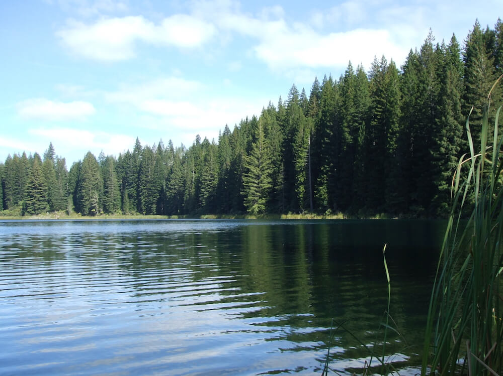 Green Lake, Rotorua, New Zealand - SH5 End of Lake