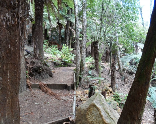 A section of Rotorua's Hemo Gorge Trail.