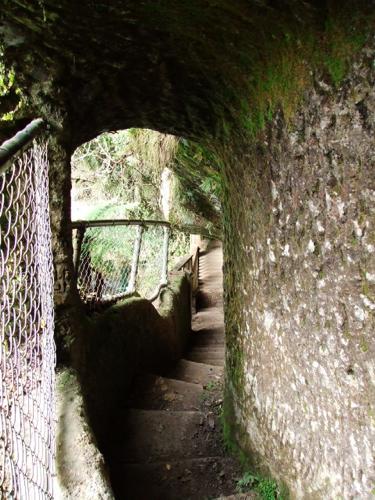 Hinemoa's Steps at Okere Falls, Rotorua, New Zealand