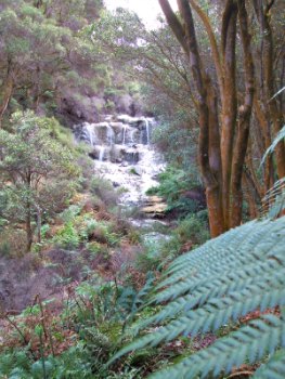 Kakahi Falls at Hells Gate Rotorau Kakahi Falls at Hells Gate Rotorau