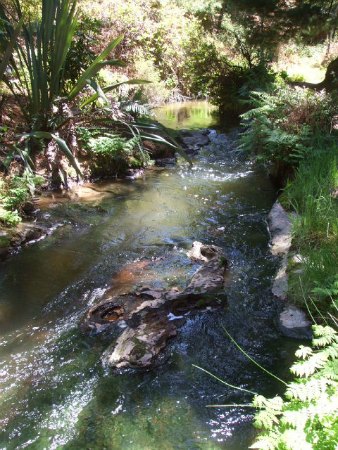 Kerosene Creek, Rotorua, NZ