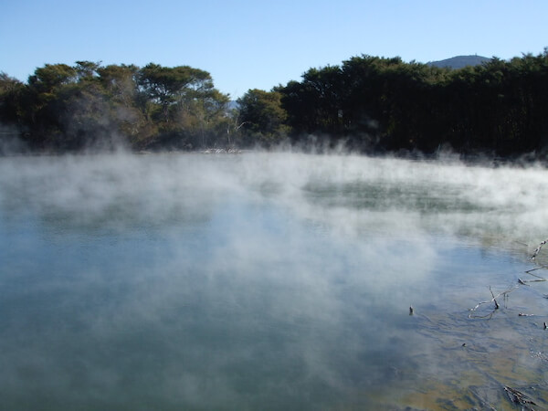 Kuirau Lake, Rotorua, New Zealand