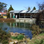 Kuirau Park footpools