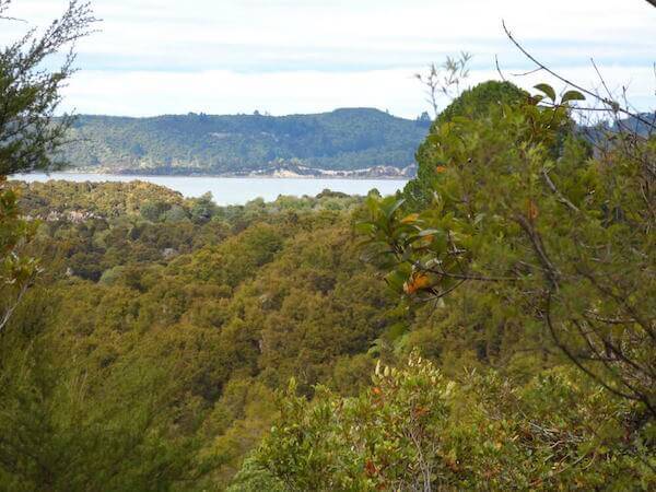 View from Tarawera Trail to Lake Rotomahana