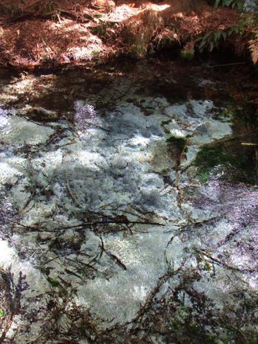 Dancing Sands Spring, Rotorua, NZ