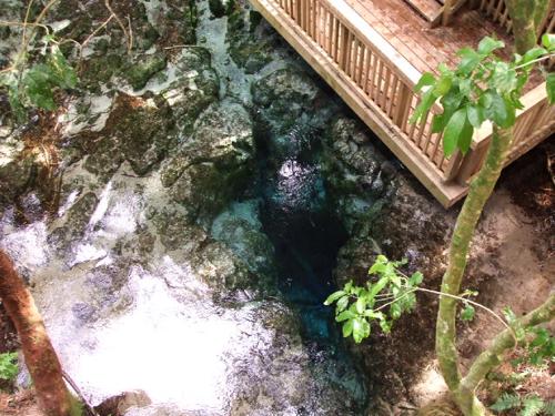 Hangarua Spring, Rotorua, NZ