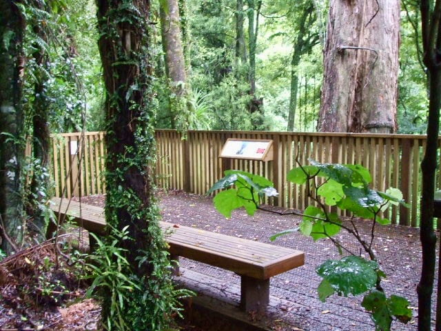 This bench is a great place to take time out to meditate on Mount Ngongotaha as there are less visitors. Mount Ngongotaha Trail Seating View