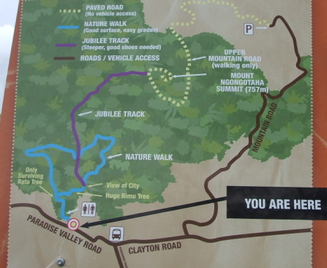 Mount Ngongotaha walking tracks map.