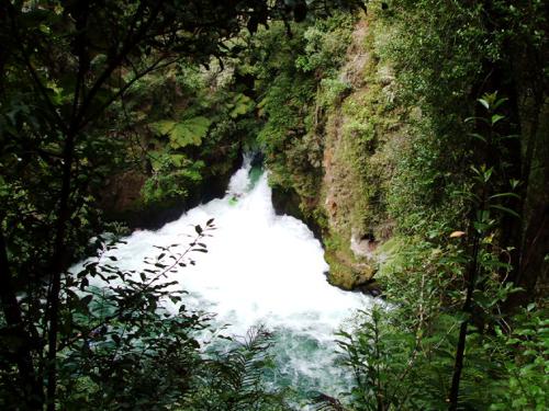 Okere Falls River, Rotorua, New Zealand