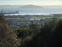 One day in Rotorua Tours  Mokoia Island