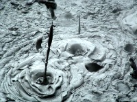 One Day in Rotorua - Mud pools