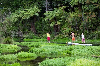 Rotorua Paddle Tours at Hamurana