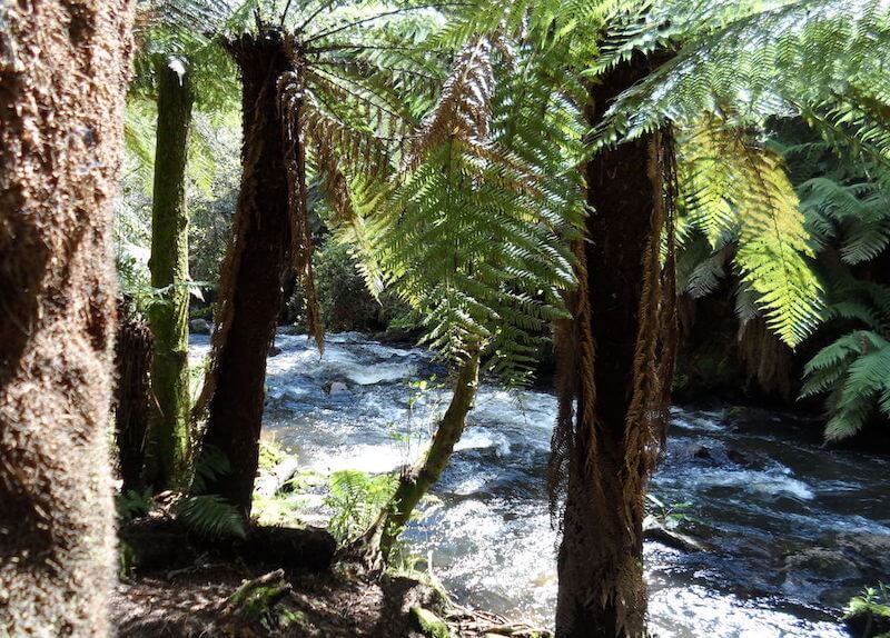 Puarenga Stream on the Hemo Gorge part of Te Ara Ahi cycle trail, Rotorua, NZ