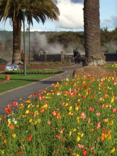 View to Rachel Pool at Government Gardens, Rotorua, NZ