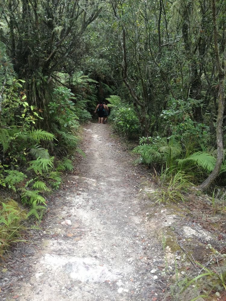 Walking on Rainbow Mountain, NZ