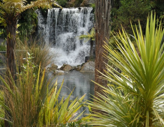 Rainbow Springs waterfall, Rotorua, NZ