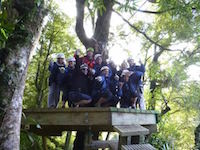 Canopy Tours Eco-Adventure with ziplining and swing bridges.