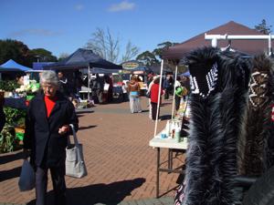 Rotorua Markets - Kuirau Park Flea Market