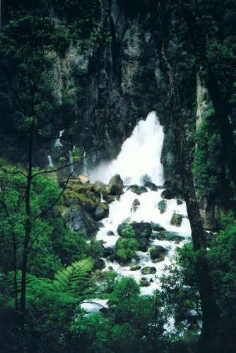 Tarawera Falls