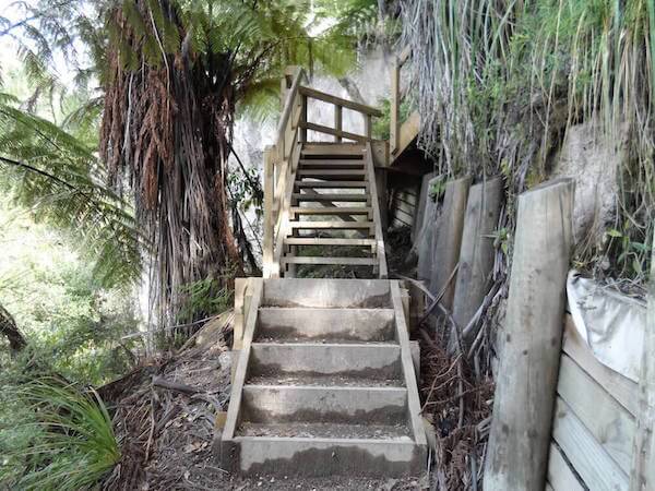 Steps on the Tarawera Trail