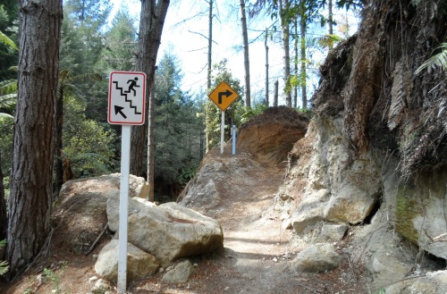 Hemo Gorge Trail, part of Te Ari Ahi's cycle trail, Rotorua, NZ