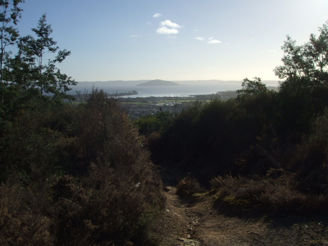 Walk the Hemo Gorge Trail then up over the Trigg to view Rotorua.