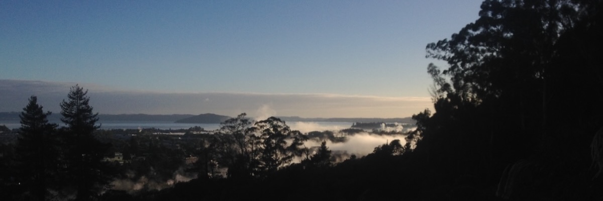 Rotorua Early Morning Light