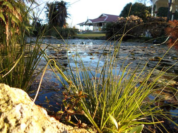 Getting around Rotorua, NZ, on foot at the Government Gardens