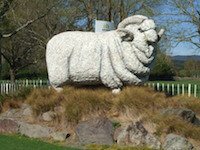 Agrodome Sheep Show & Farm Tours