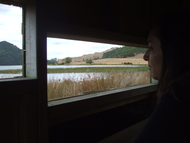 Birdwatching Hut At Lake Okareka