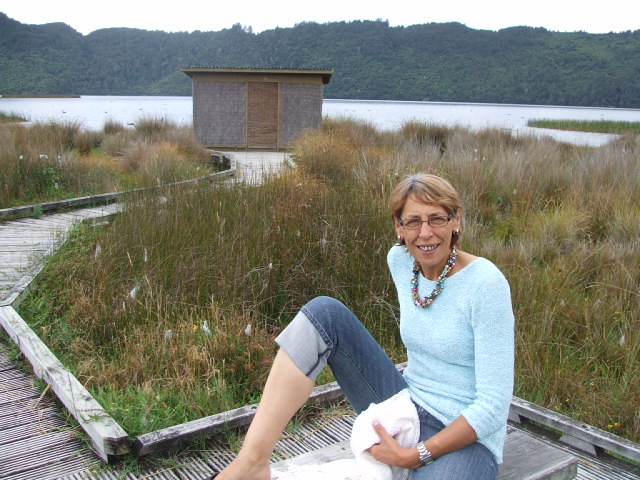 A birdwatching hide at Okareka 