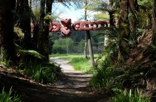 Te Ari Ahi cycle trail, Hemo Gorge section, exit to Waipa mountainbike carpark