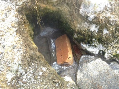 Food coooking in hot spring water at Lake Tarawera