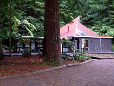 Rotorua Redwoods gift shop & info center