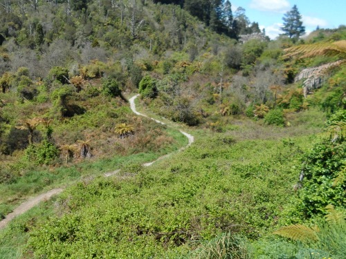 Start/End of the Hemo Gorge Trail for walkers, runners and bikers.