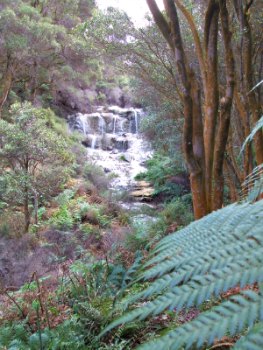 Kakahi Falls at Hells Gate Rotorau