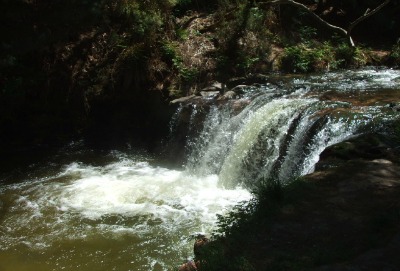 Kerosene Creek, Rotorua, NZ.