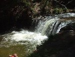 Kerosene Creek, geothermal stream near Waiotapu.